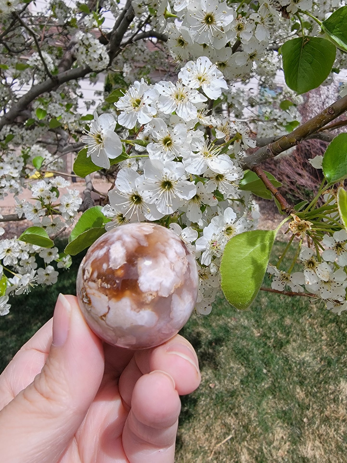 Flower Agate Sphere