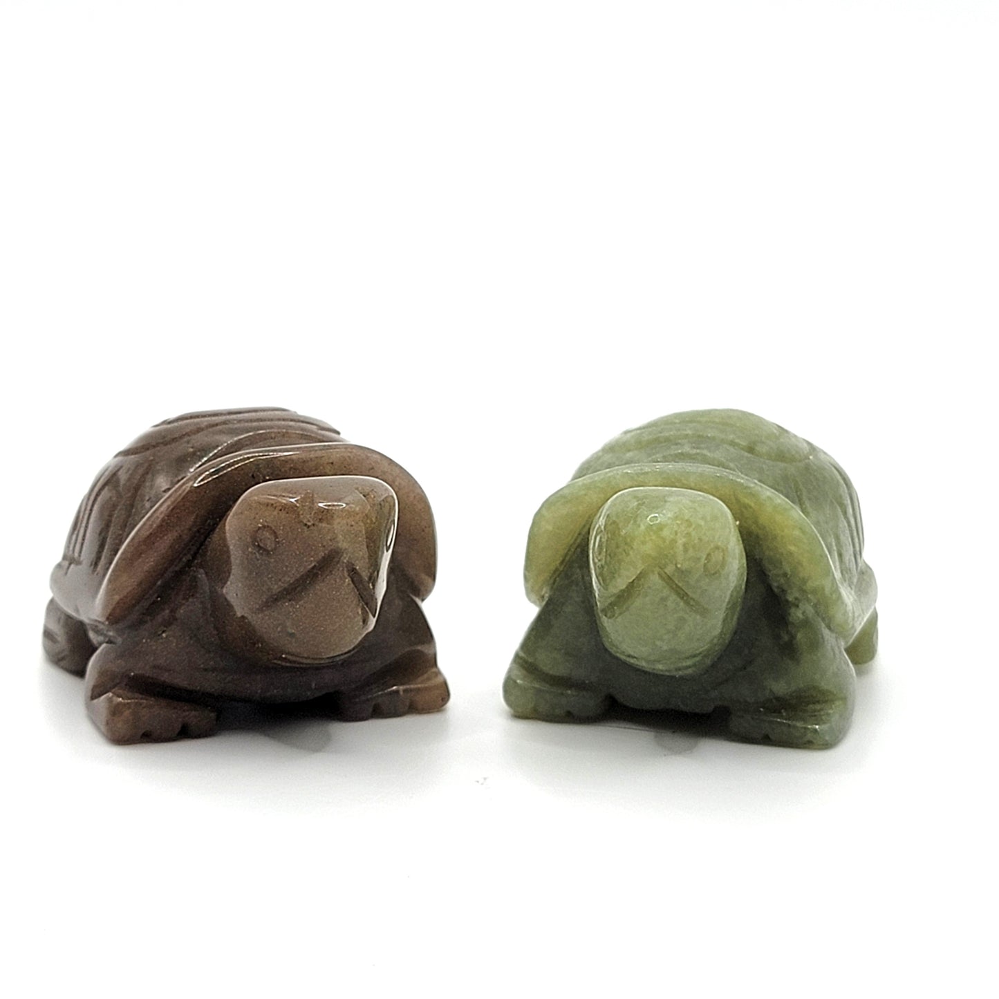 Aventurine Box Turtle