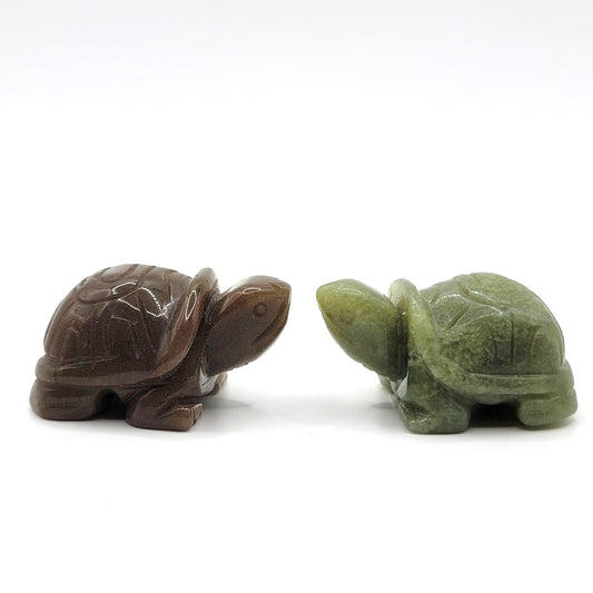 Aventurine Box Turtle