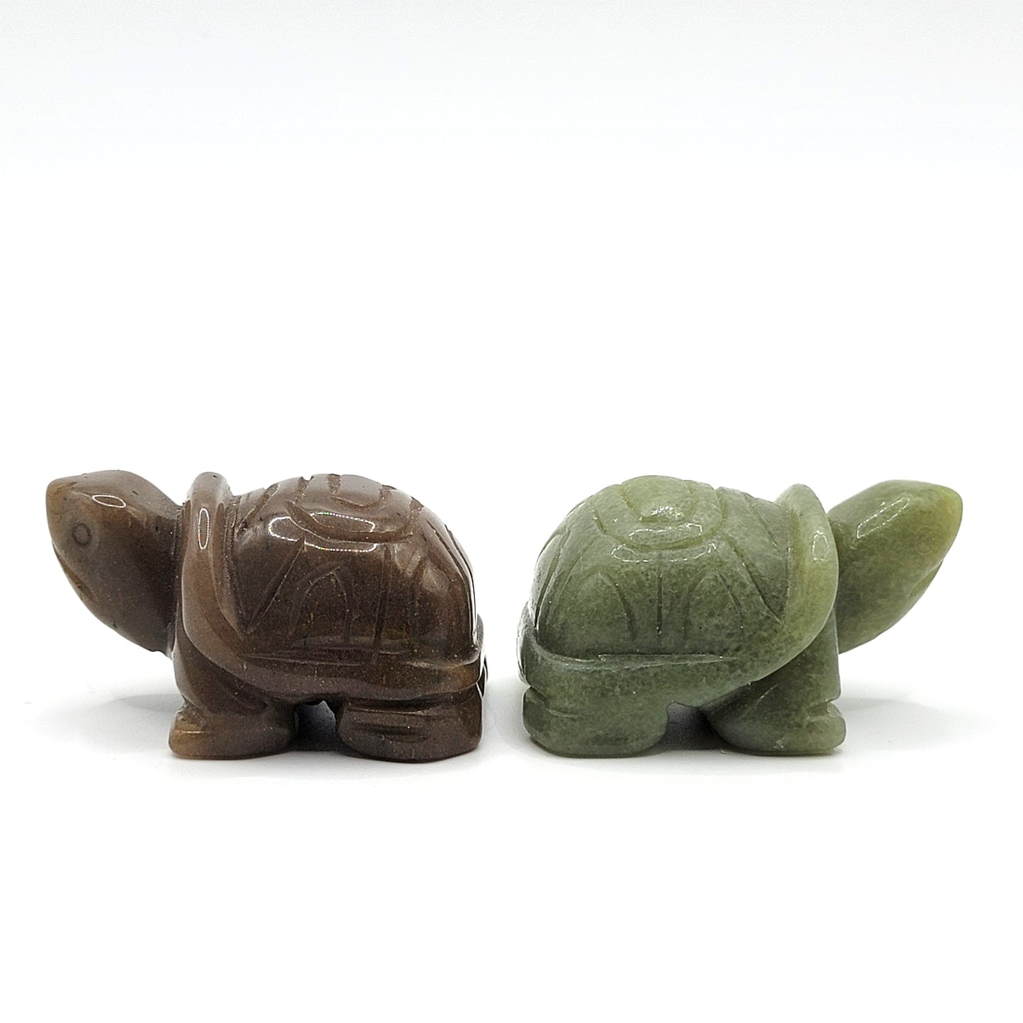 Aventurine Box Turtle