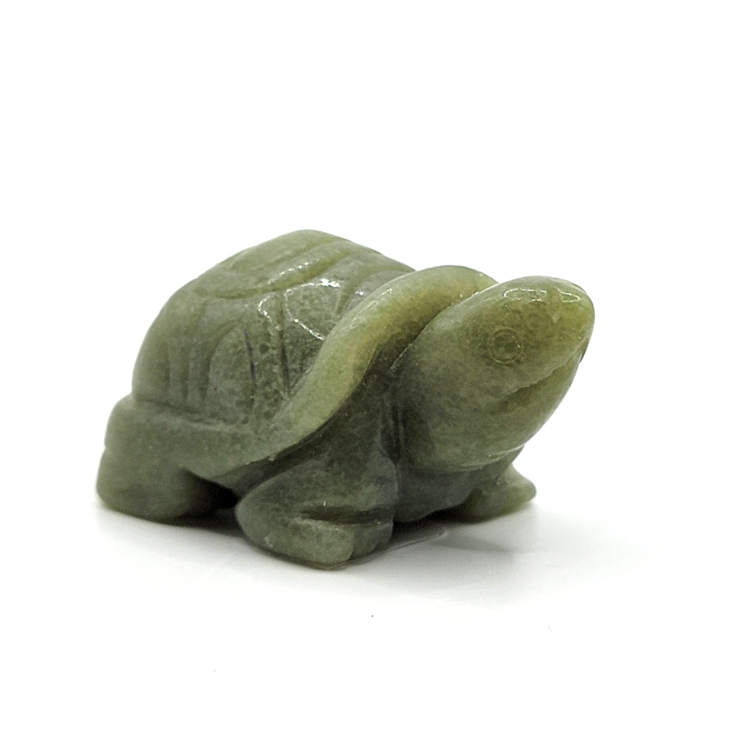 Aventurine Box Turtle